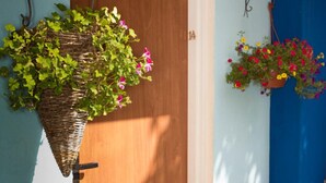 A room with a wooden floor, a blue wall, and two hanging planters with flowers.