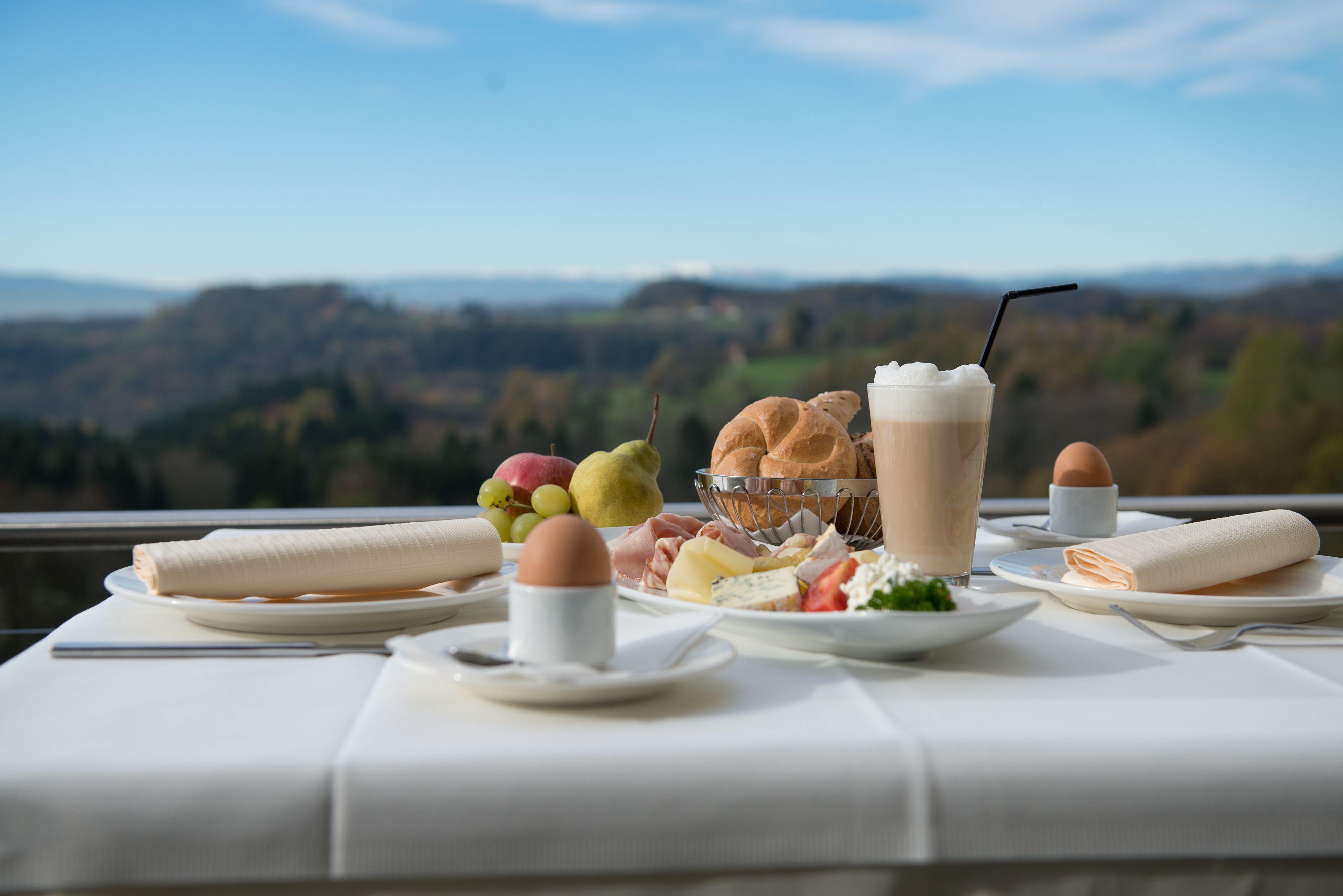 daily buffet breakfast (eur 23 per person)