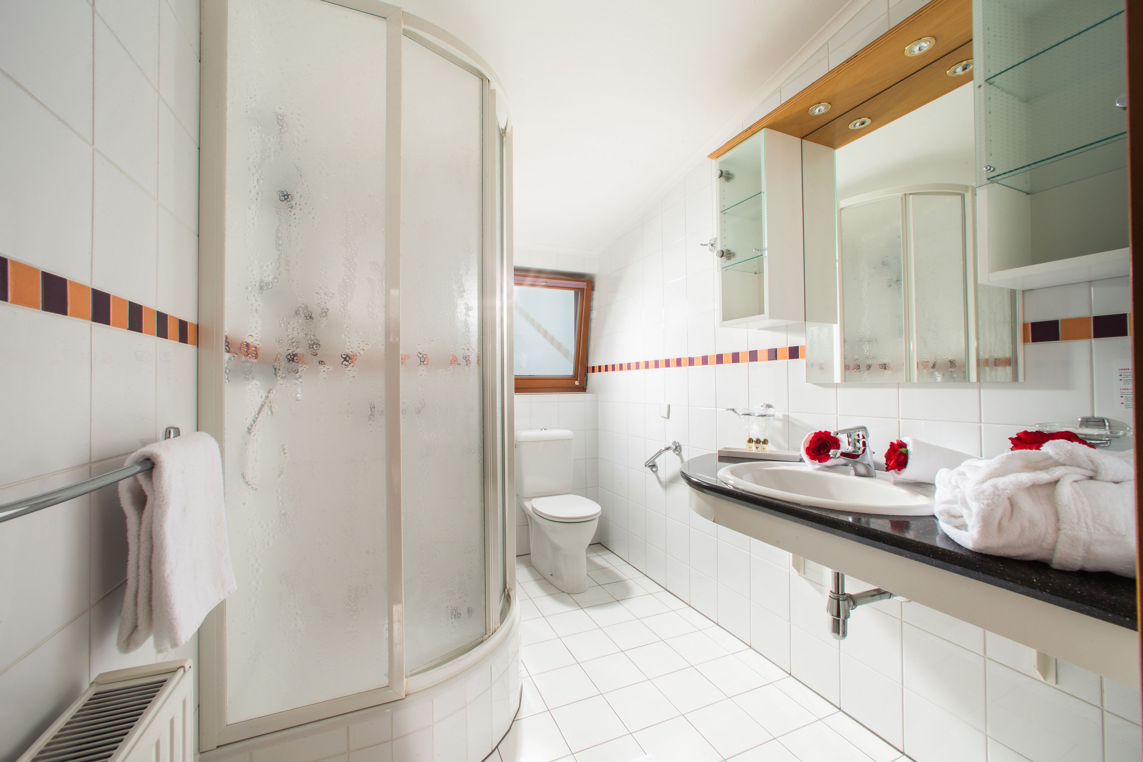 free toiletries, hair dryer, towels