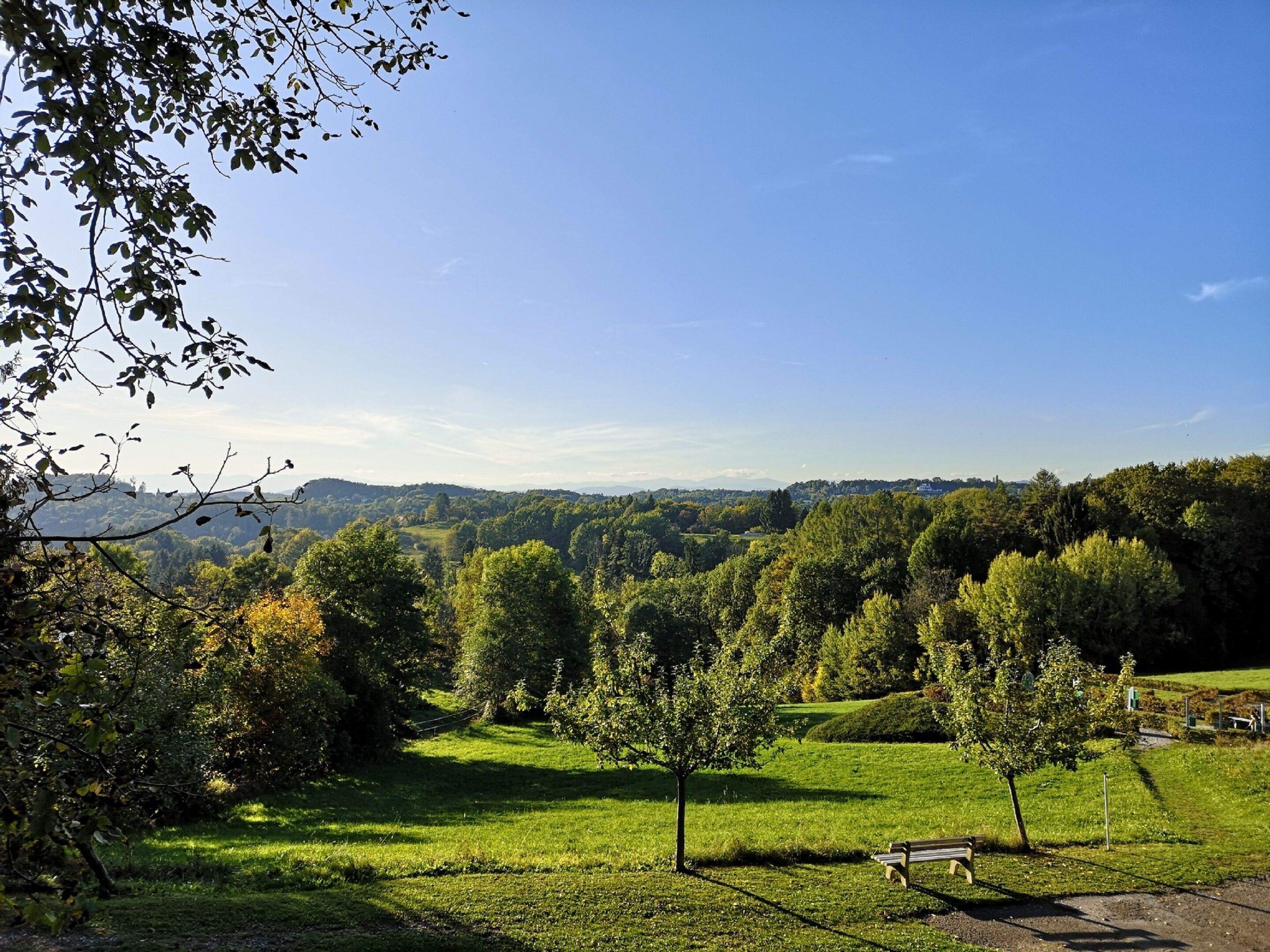 Un parque con un banco, árboles y vistas a colinas distantes.