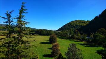 Eine Berglandschaft mit blauem Himmel, einem grünen Feld und Bäumen.