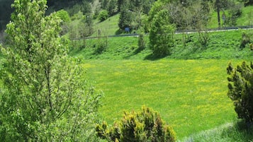 Area giochi per bambini (all'aperto)