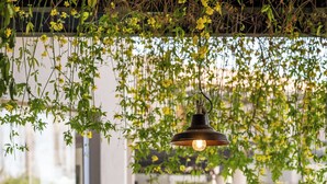 An outdoor dining area with a table set for two, surrounded by chairs. - Villa Mansa Wine Hotel (Luján de Cuyo)