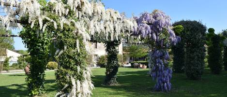 Un jardín con diversos árboles, entre ellos árboles con flores blancas y moradas, y un césped bien cuidado.