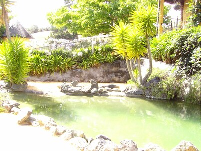 The Mudcastle