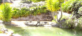 The Mudcastle