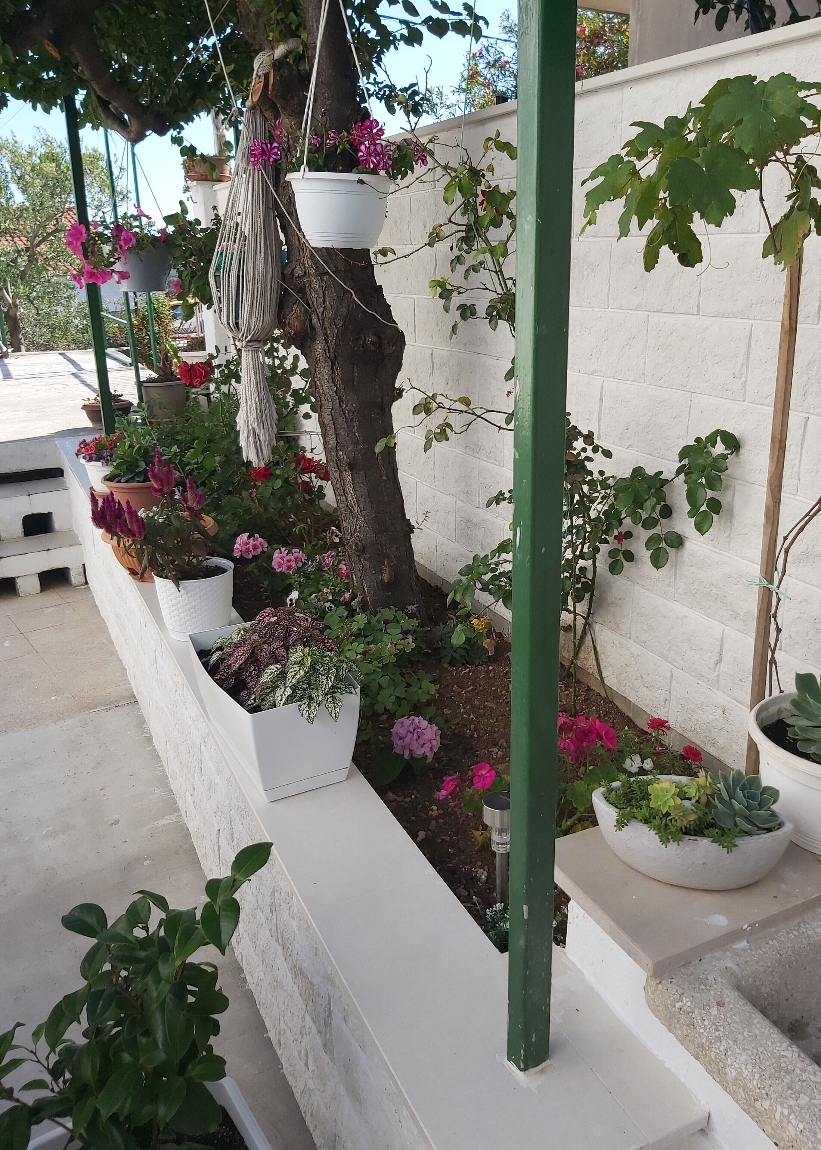 Studio, Terrace (nr.1) with parking | Eksteriør