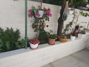 Studio, Terrace (nr.1) with parking | 외관