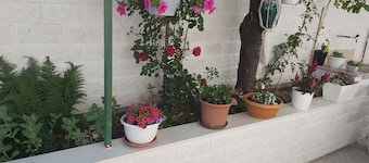 Apartmani Teo