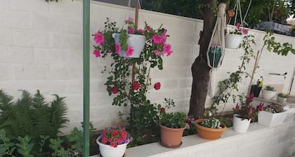 Apartmani Teo