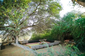 Un espacio al aire libre con árboles, mesas de picnic y bancos.