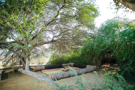 Garden. Negev Camel Ranch