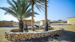 A desert scene with palm trees, a stone wall, and a hammock. - Negev Camel Ranch (Dimona)