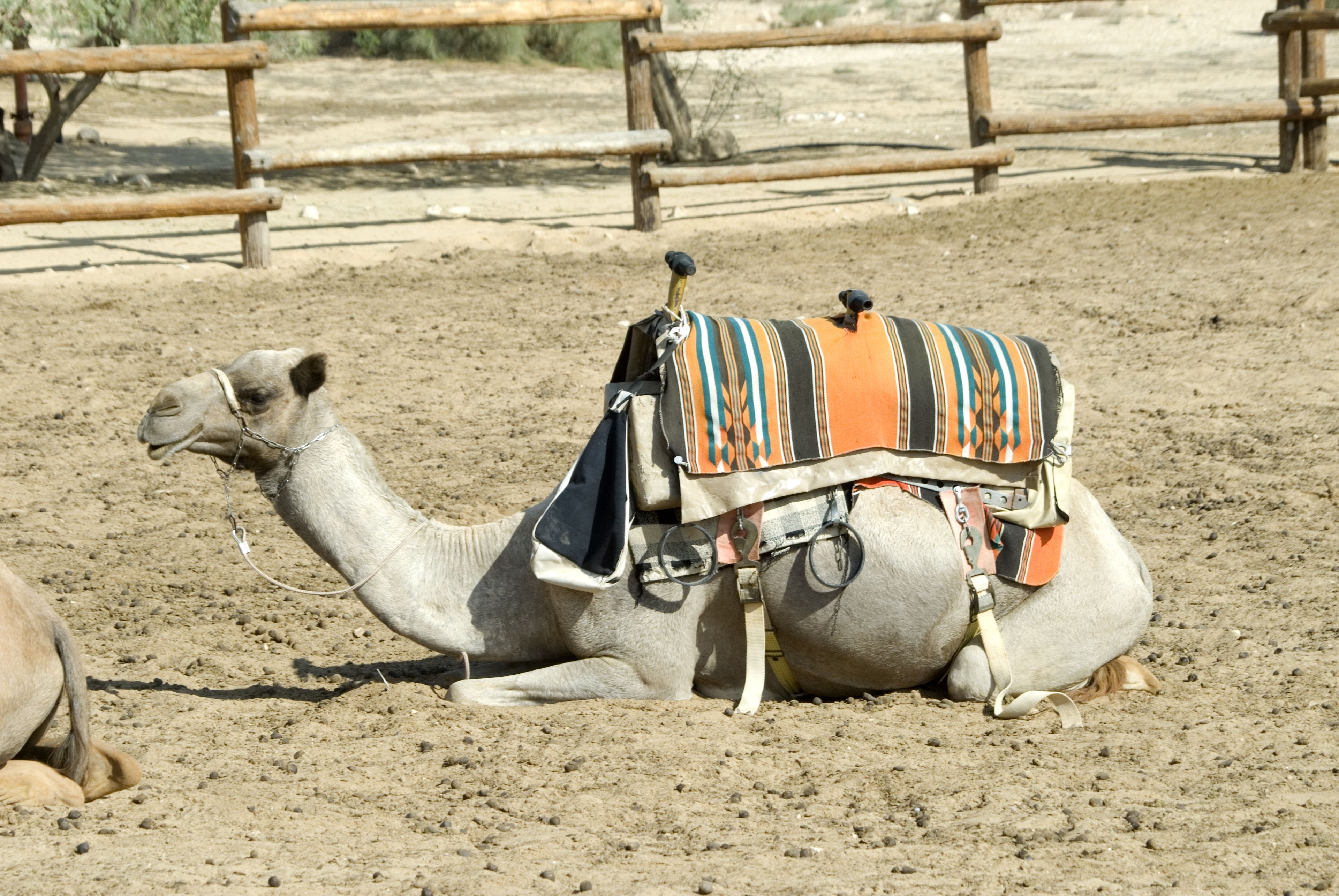 الإطلالة من المنشأة