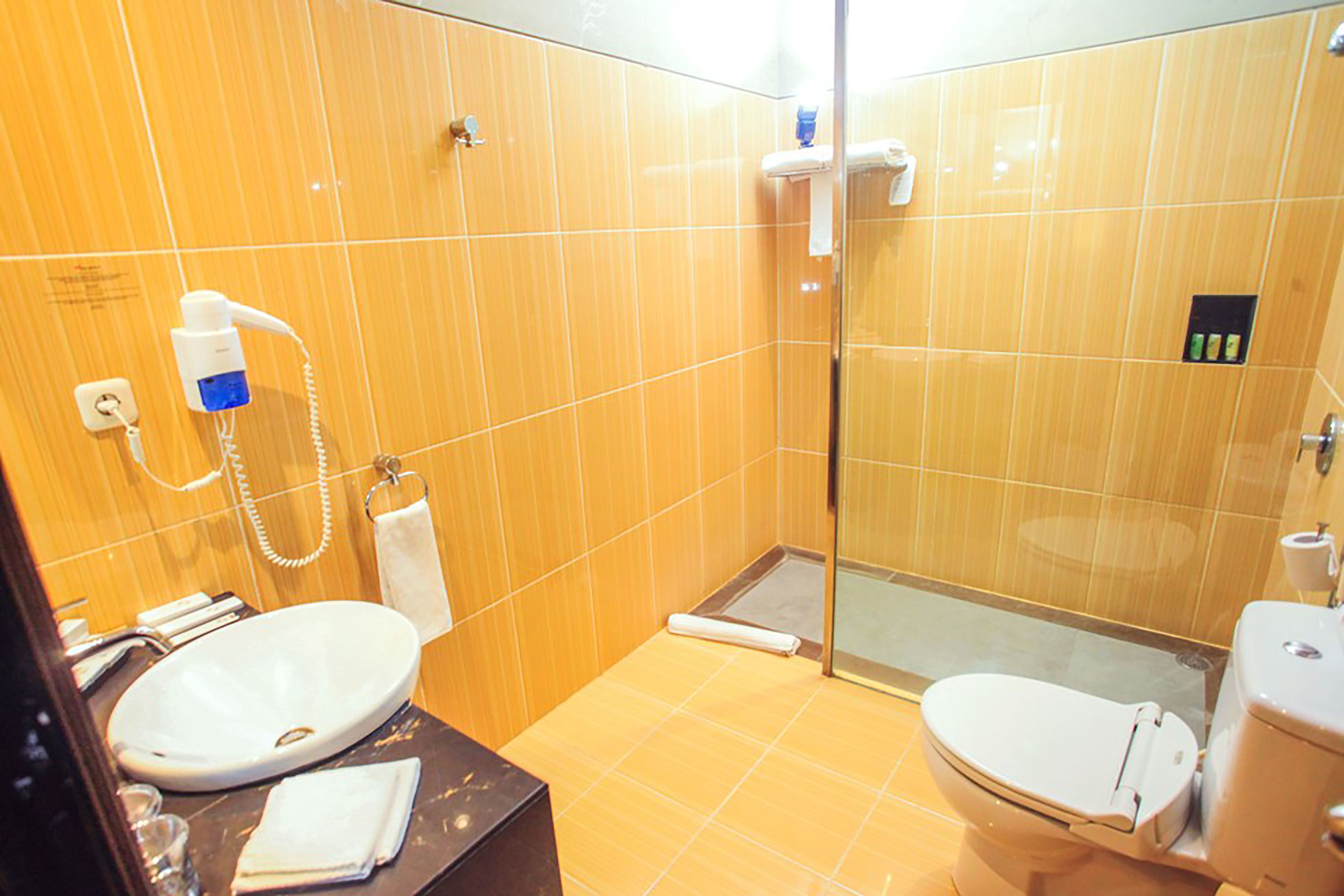 Une salle de bain équipée d’un lavabo, de toilettes et d’une douche à parois en verre.