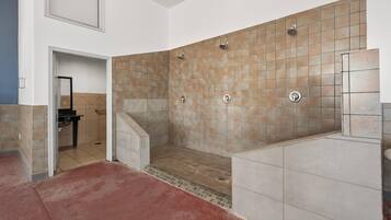 A modern bathroom with a walk-in shower, a bathtub, and a toilet.