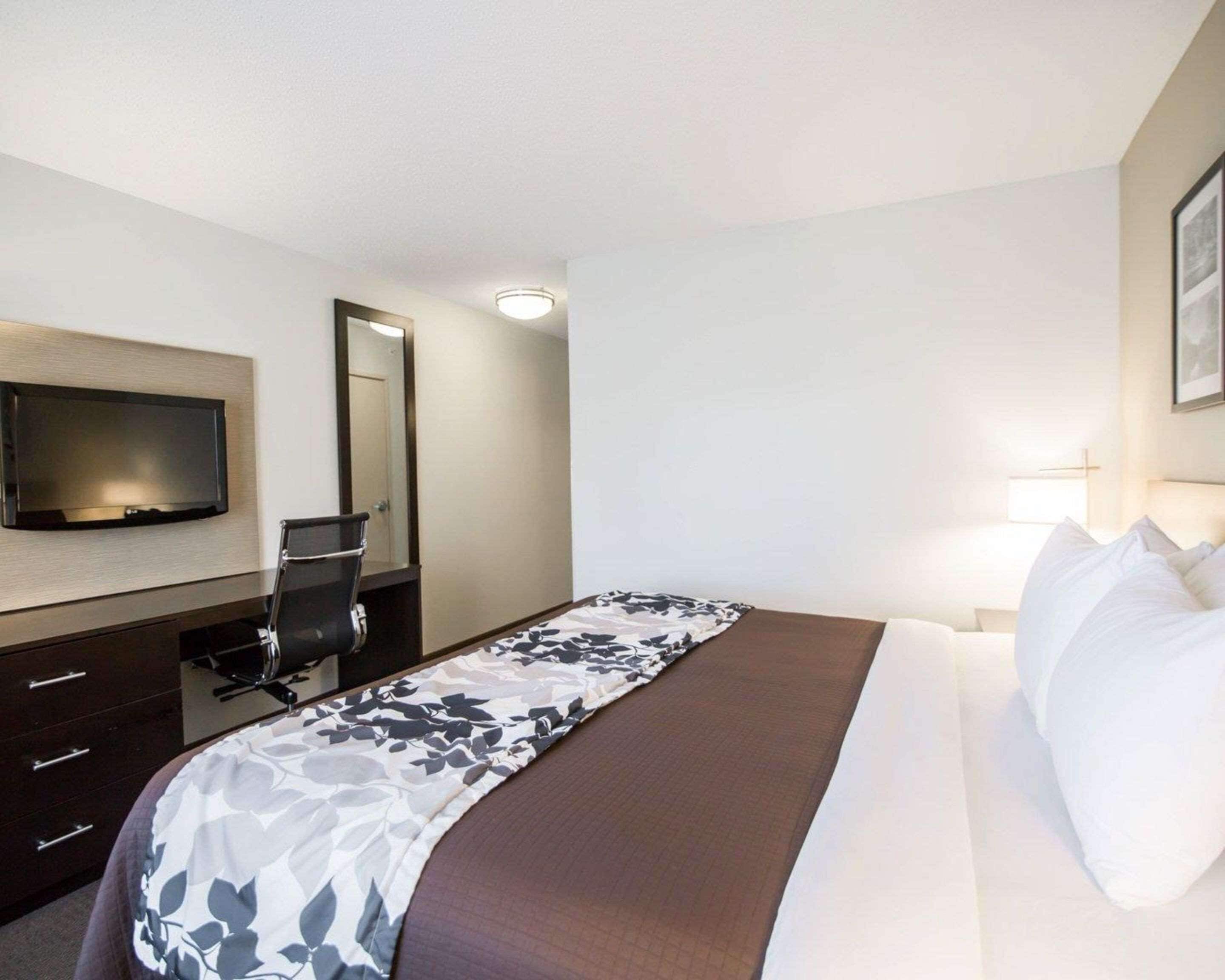 standard room, 1 king bed, non smoking | premium bedding, pillow-top beds, desk, blackout curtains