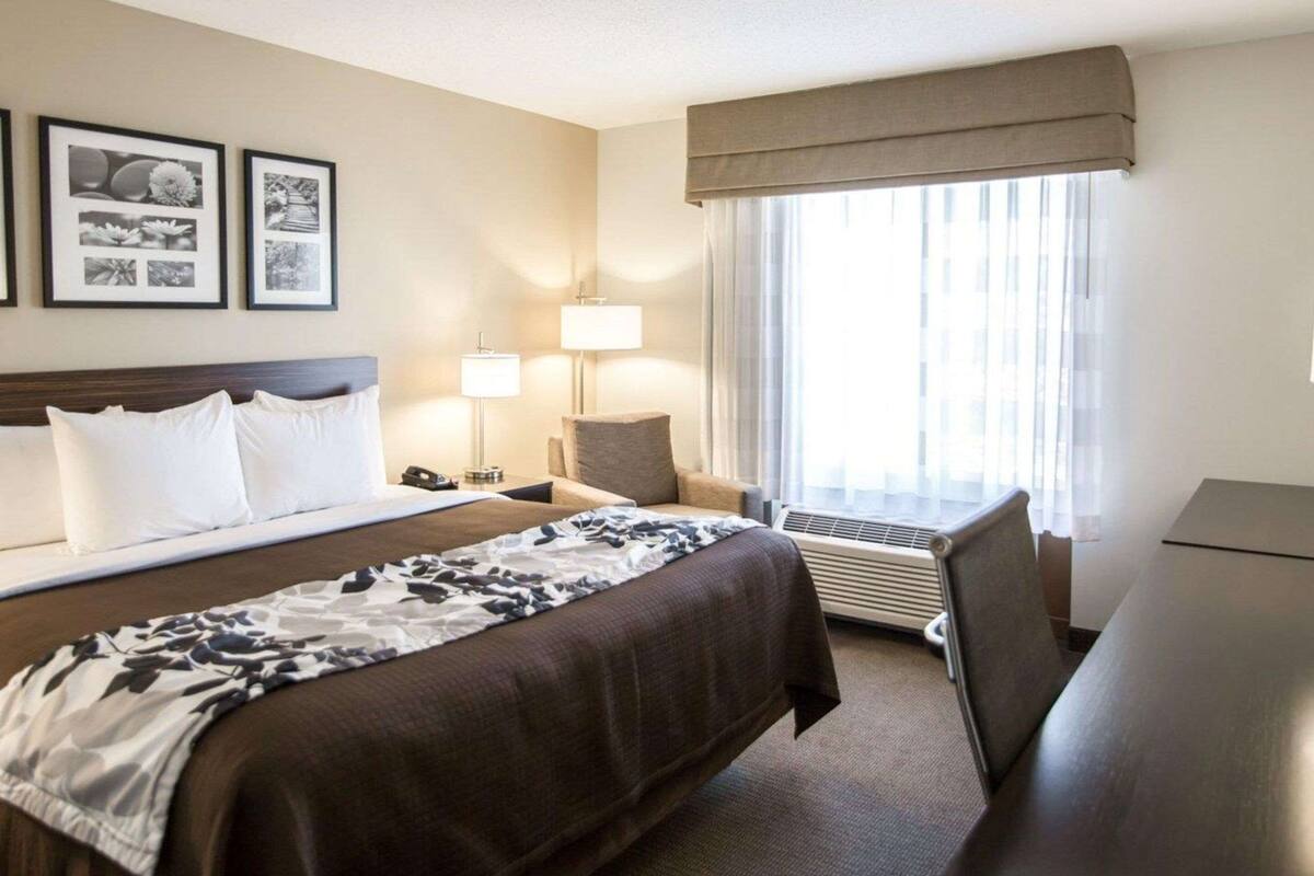 standard room, 1 king bed, non smoking | premium bedding, pillow-top beds, desk, blackout curtains