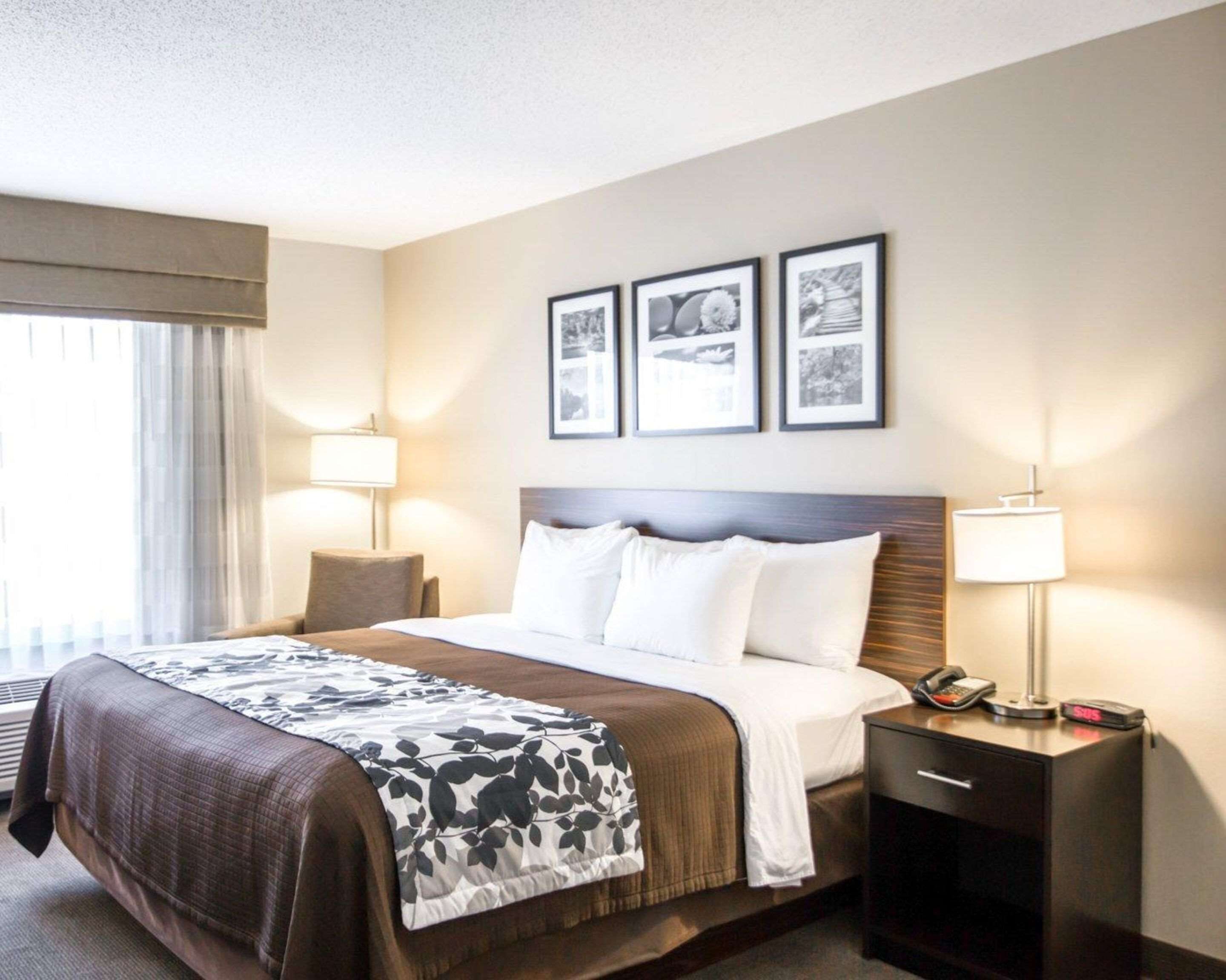 premium bedding, pillow-top beds, desk, blackout curtains