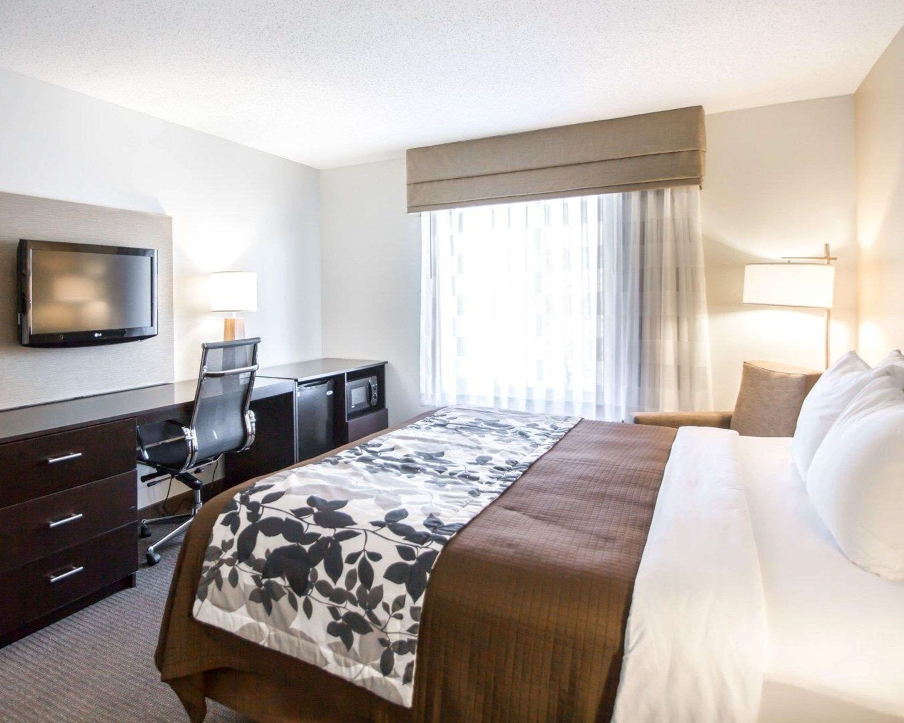 premium bedding, pillow-top beds, desk, blackout curtains