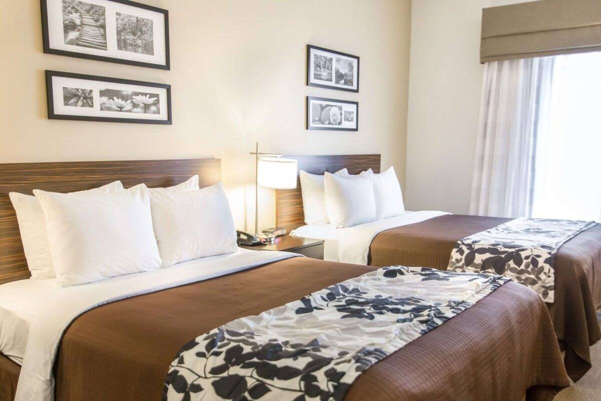 A hotel room with two beds, each with white and brown bedding, a bedside table with a lamp, and framed pictures on the wall.