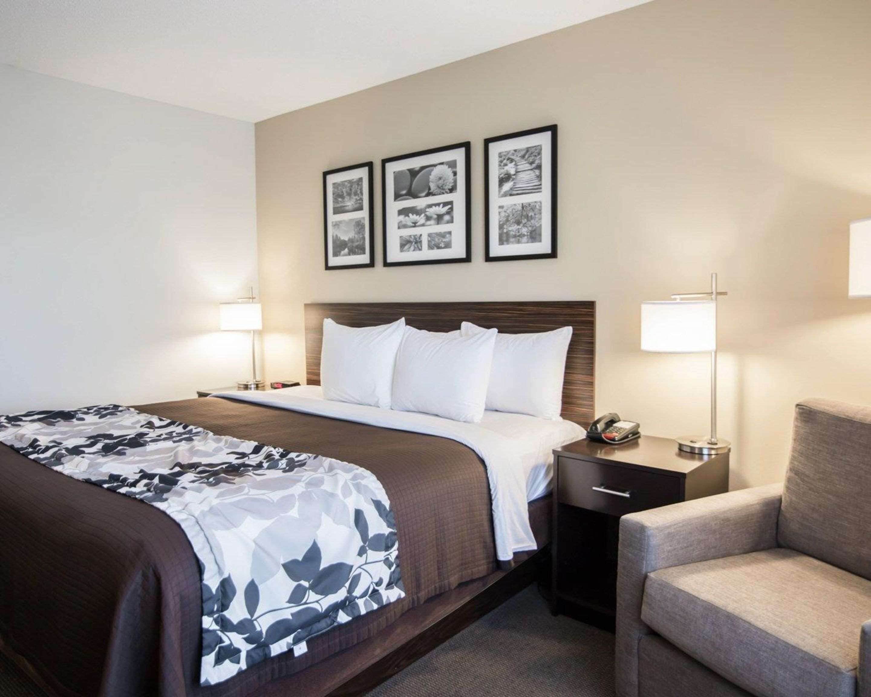 standard room, 1 king bed, non smoking | premium bedding, pillow-top beds, desk, blackout curtains