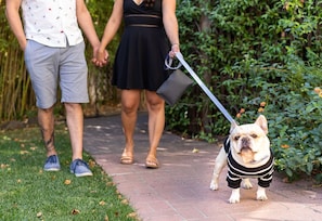 Pet-friendly