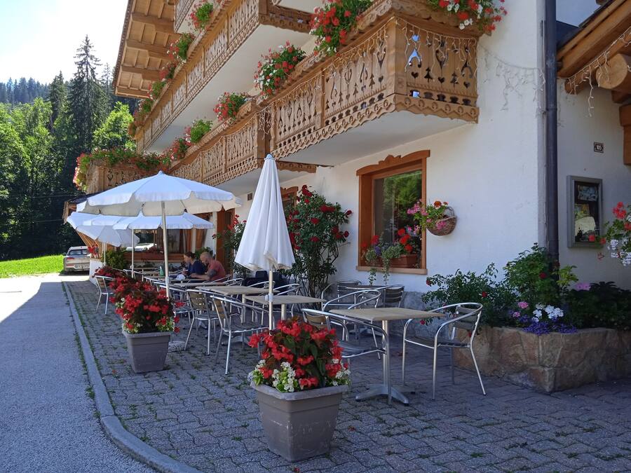 Terras