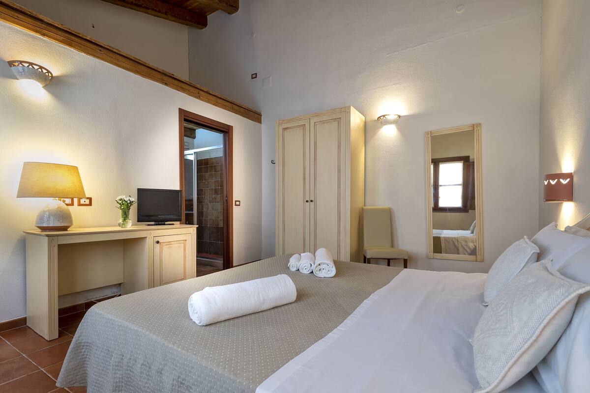 classic double room | 1 bedroom, egyptian cotton sheets, down duvets, minibar