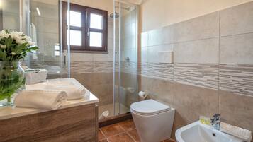 A modern bathroom with a glass shower enclosure, a white sink, and a toilet.