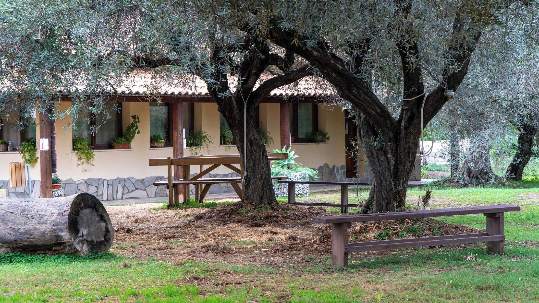 Un edificio rústico con techo de tejas, un banco de madera y una mesa de picnic al frente.
