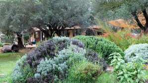 A garden with various shrubs and trees, a patio area with outdoor seating, and a building with a tiled roof in the background. - Su Leunaxiu (Soleminis)