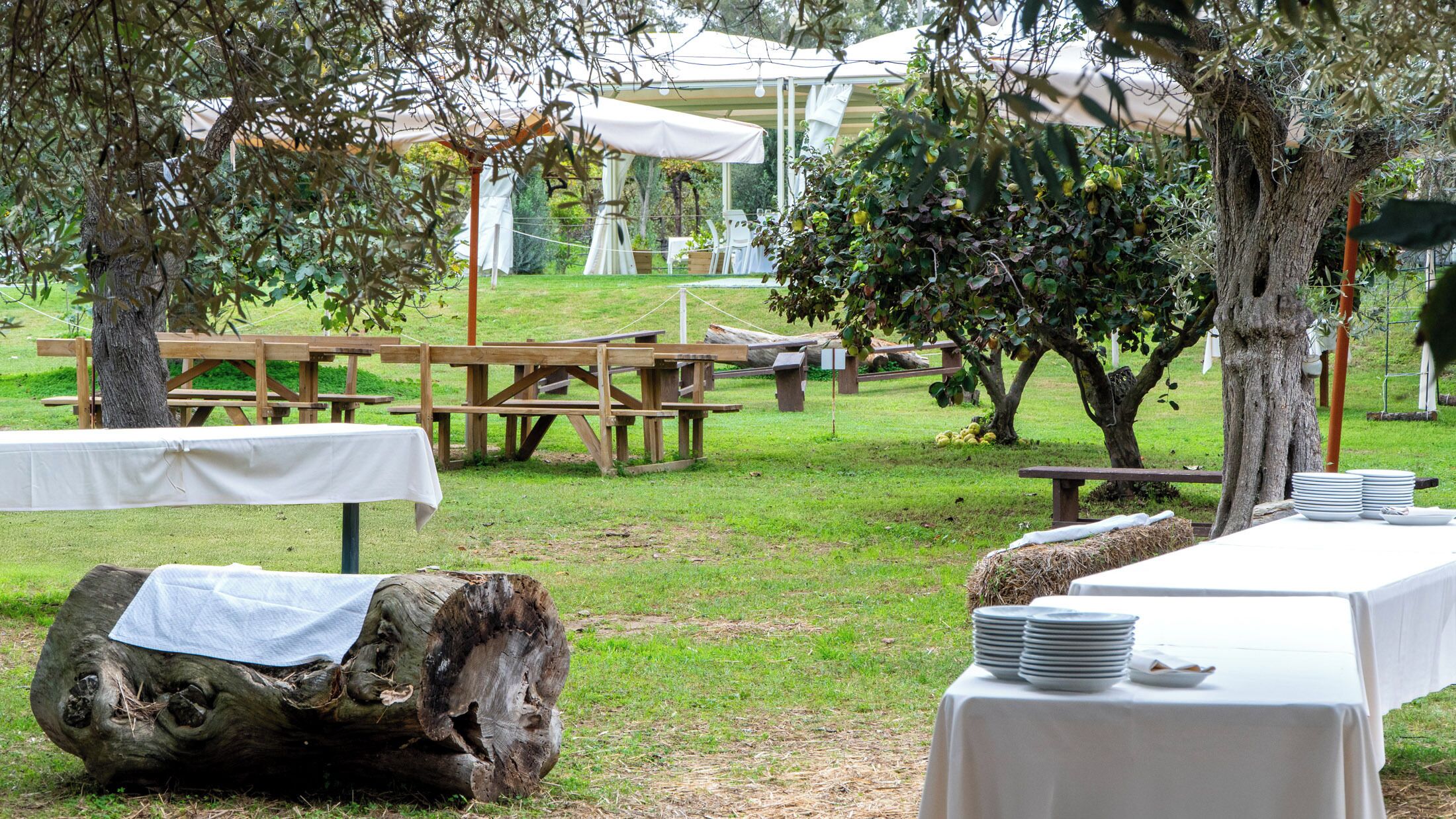 An outdoor dining area with picnic tables and a covered seating area.