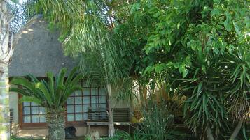 A traditional thatched-roof house surrounded by lush greenery, including palm trees and various tropical plants.