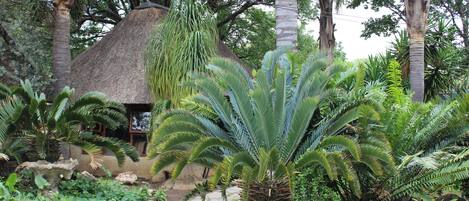 Caja de seguridad en la habitación y escritorio