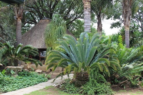 Airport Modjadji Guesthouse