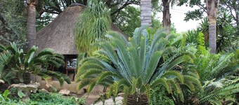 Airport Modjadji Guesthouse