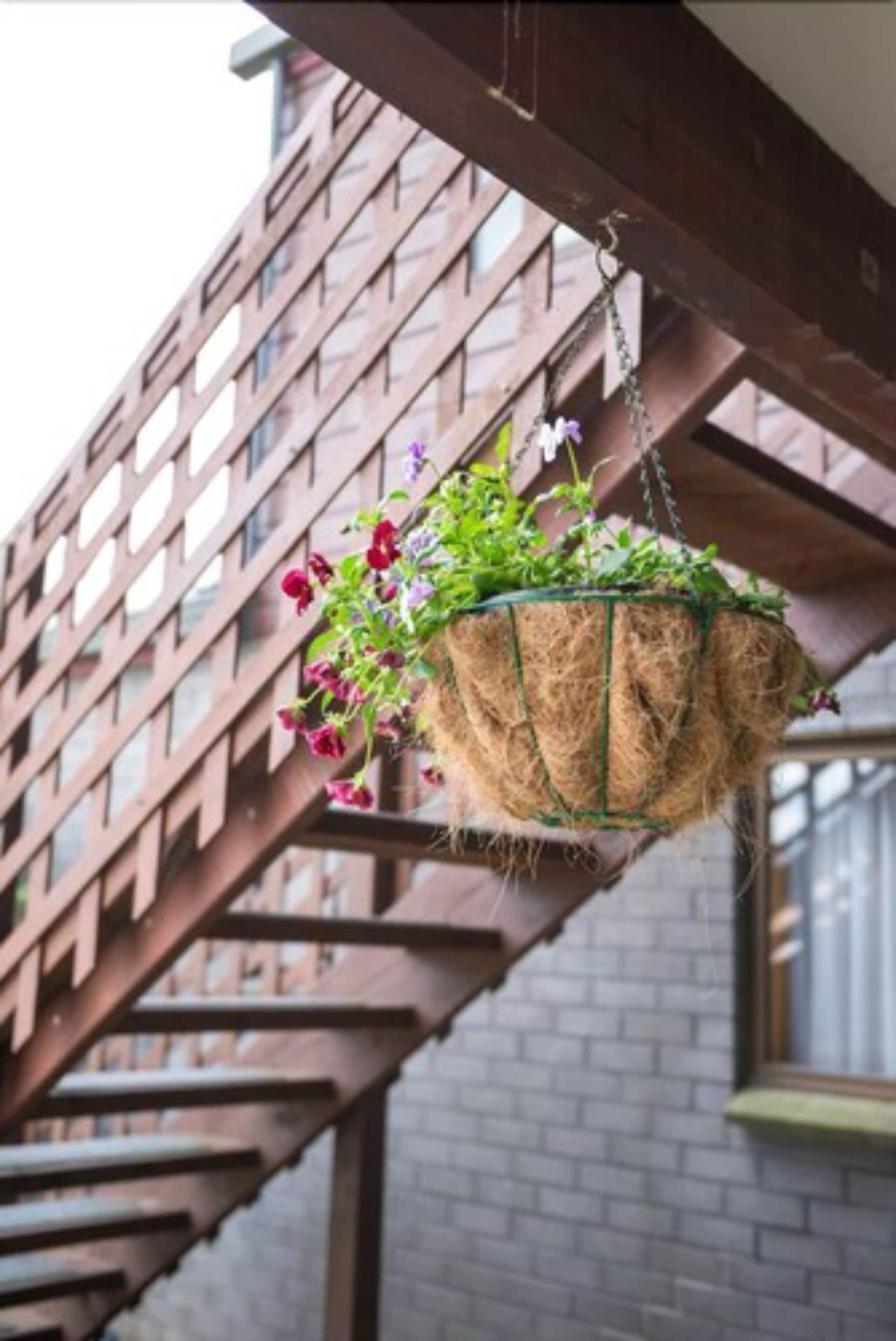 Foto - Strathern Motor Lodge