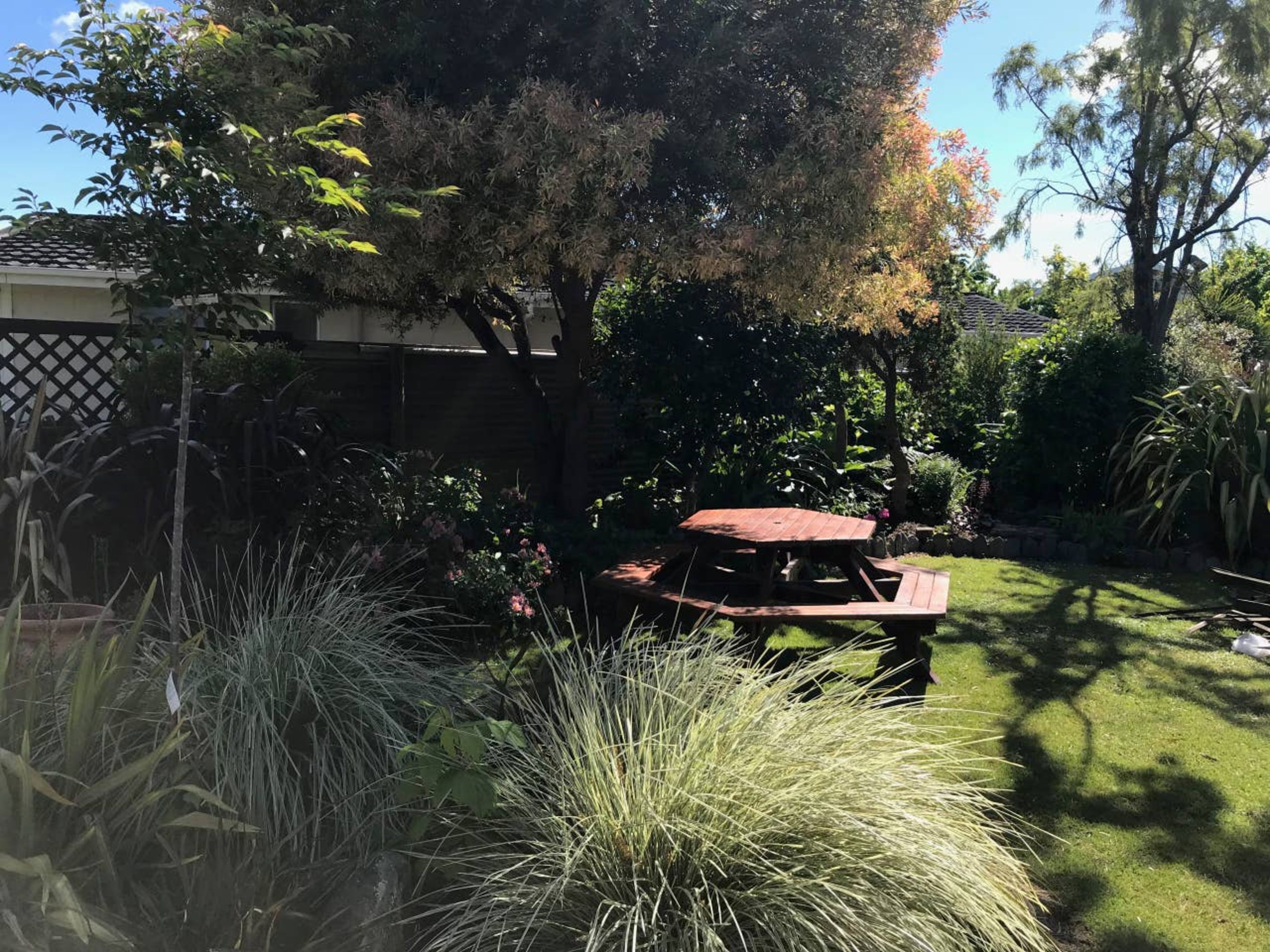 A picnic table in a garden with various plants and trees.