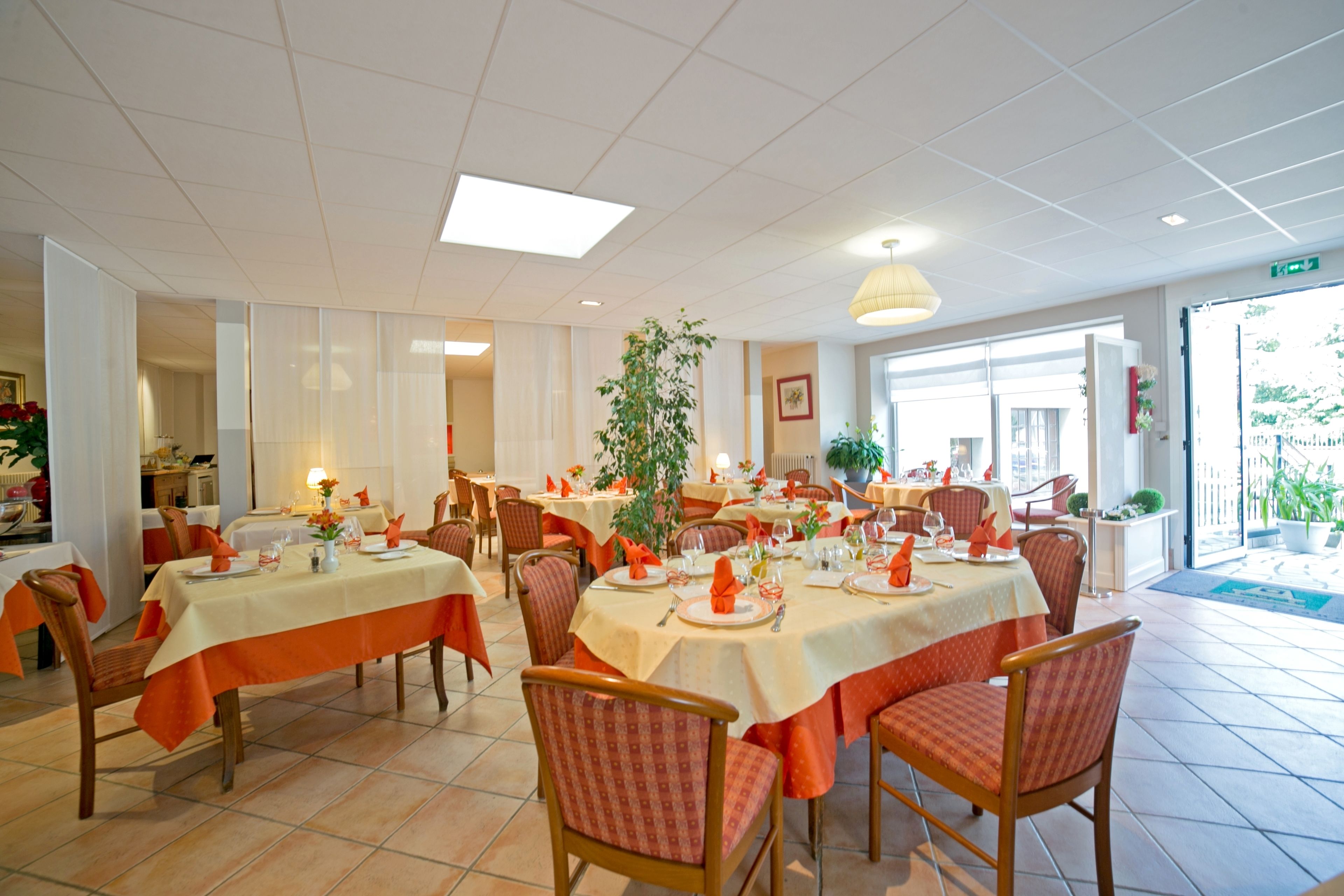 A dining area with multiple tables, chairs, and a large potted plant.