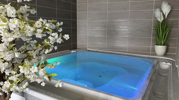 Un jacuzzi con pared de azulejos y una planta en maceta.