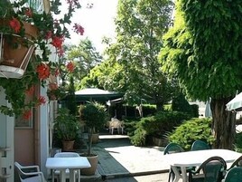 Un patio al aire libre con mesas y sillas, rodeado de plantas en macetas y árboles.