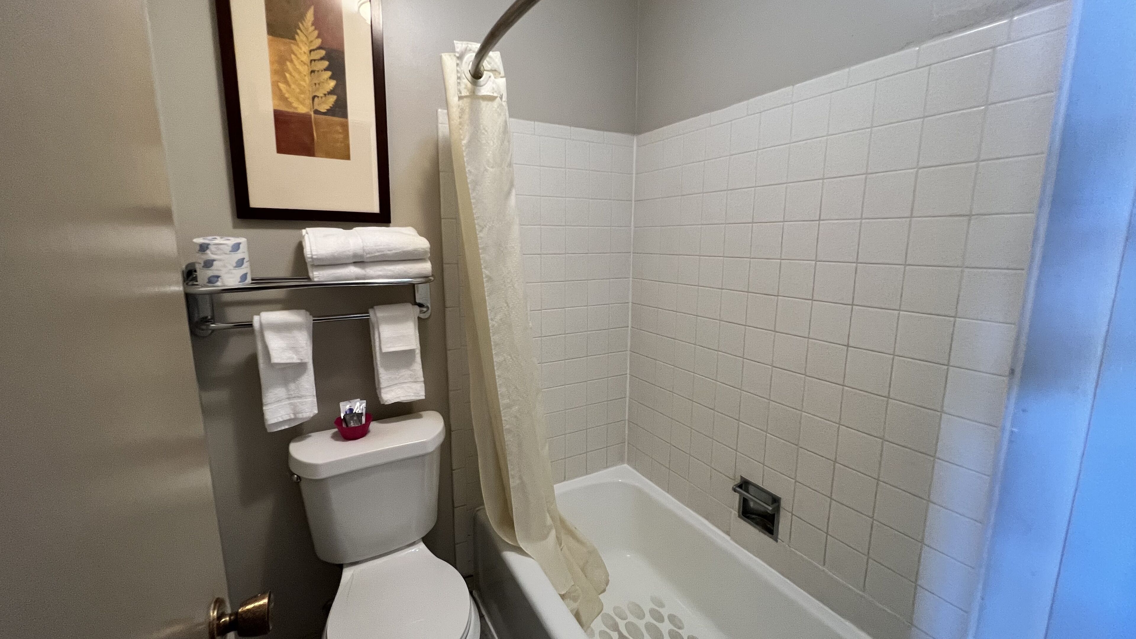 A bathroom with a toilet, a shower with a curtain, and a shelf with towels and toiletries.