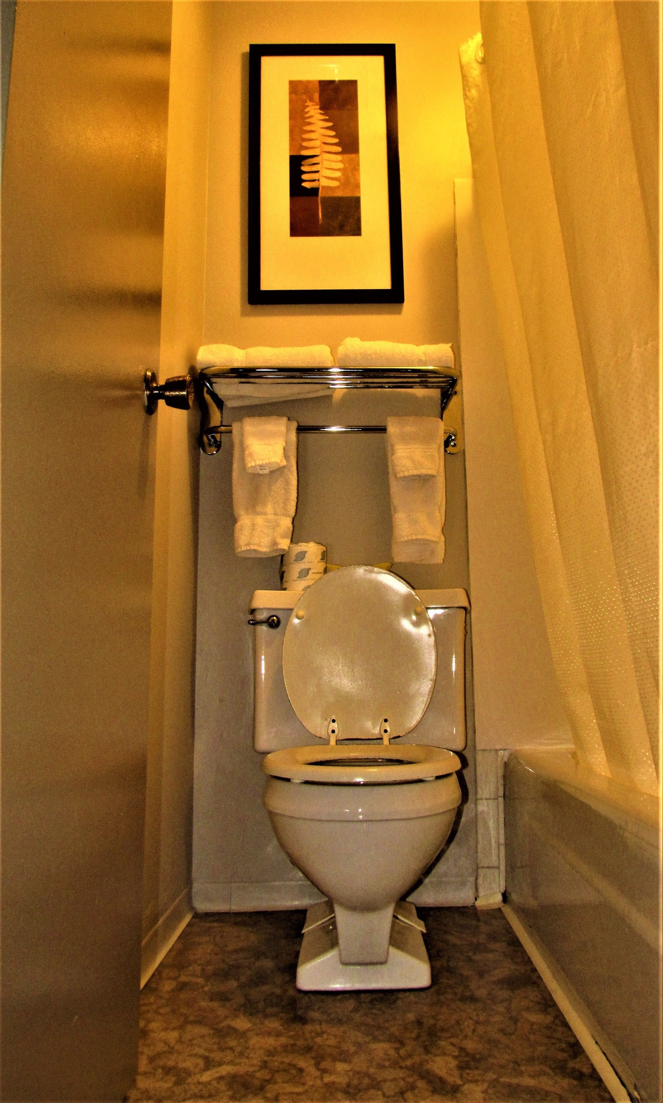 A toilet with a white seat and lid, a towel rack with two white towels, and a framed picture above the toilet.