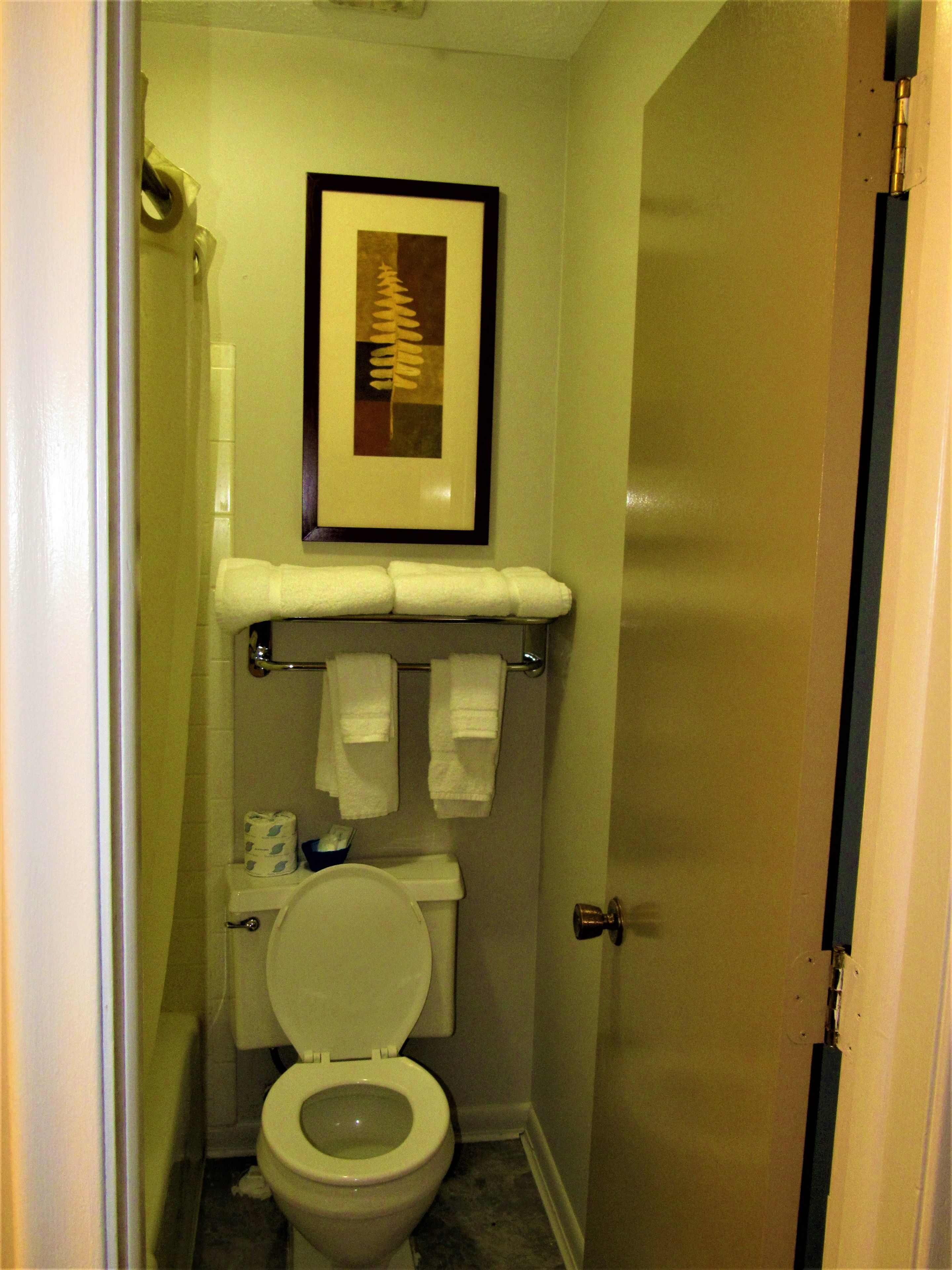 Un baño pequeño y limpio, con inodoro, un cuadro enmarcadosobre el lavamanos y un toallero con varias toallas.