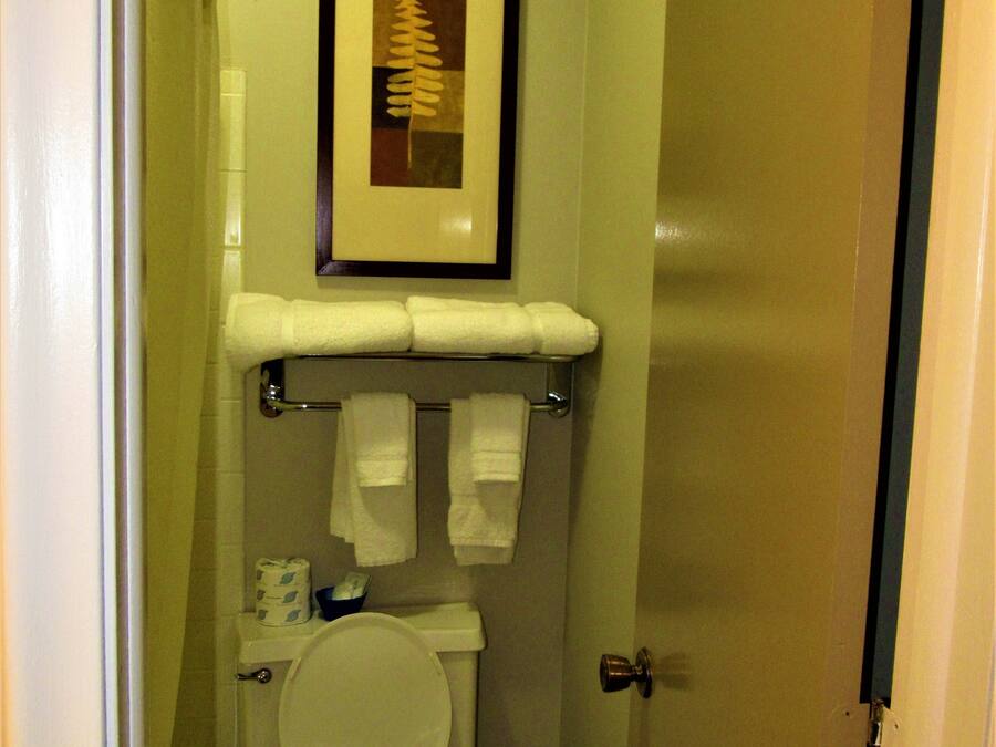 Un baño pequeño y limpio, con inodoro, un cuadro enmarcadosobre el lavamanos y un toallero con varias toallas.