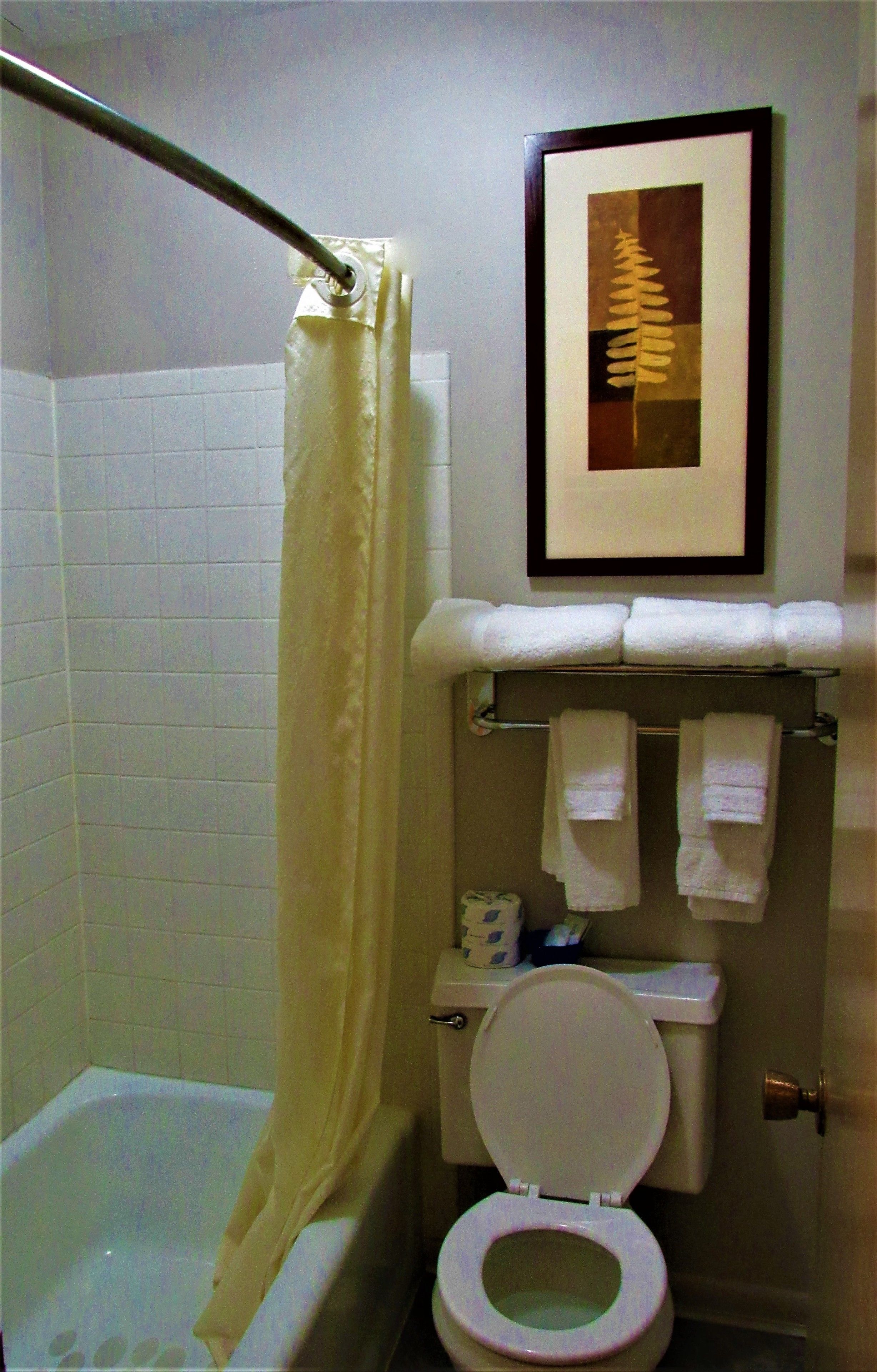 A bathroom with a bathtub, toilet, and a framed picture on the wall.