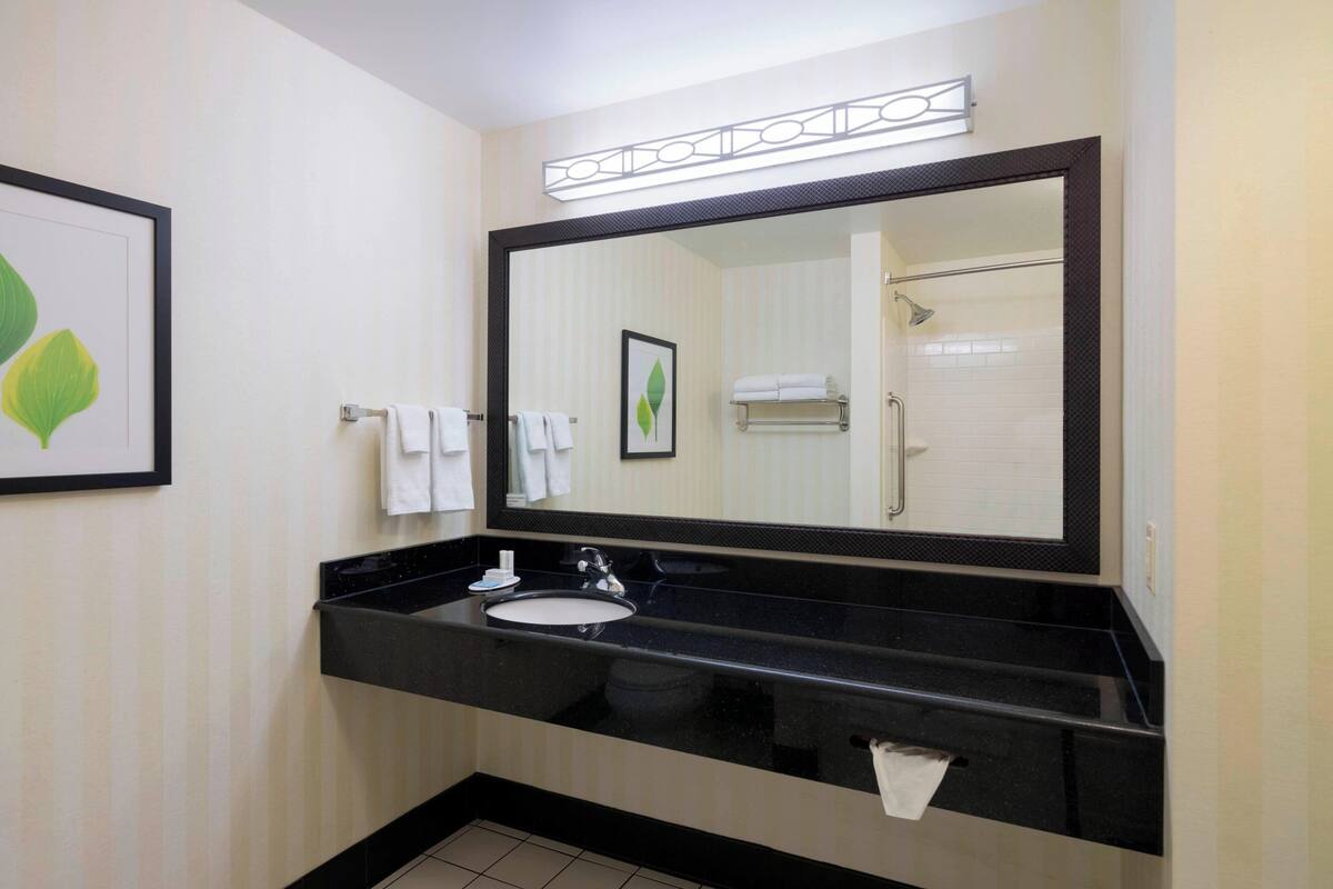 combined shower/bathtub, free toiletries, hair dryer, towels