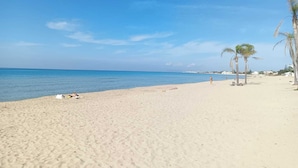 Una playa con cielos despejados, aguas tranquilas y palmeras.