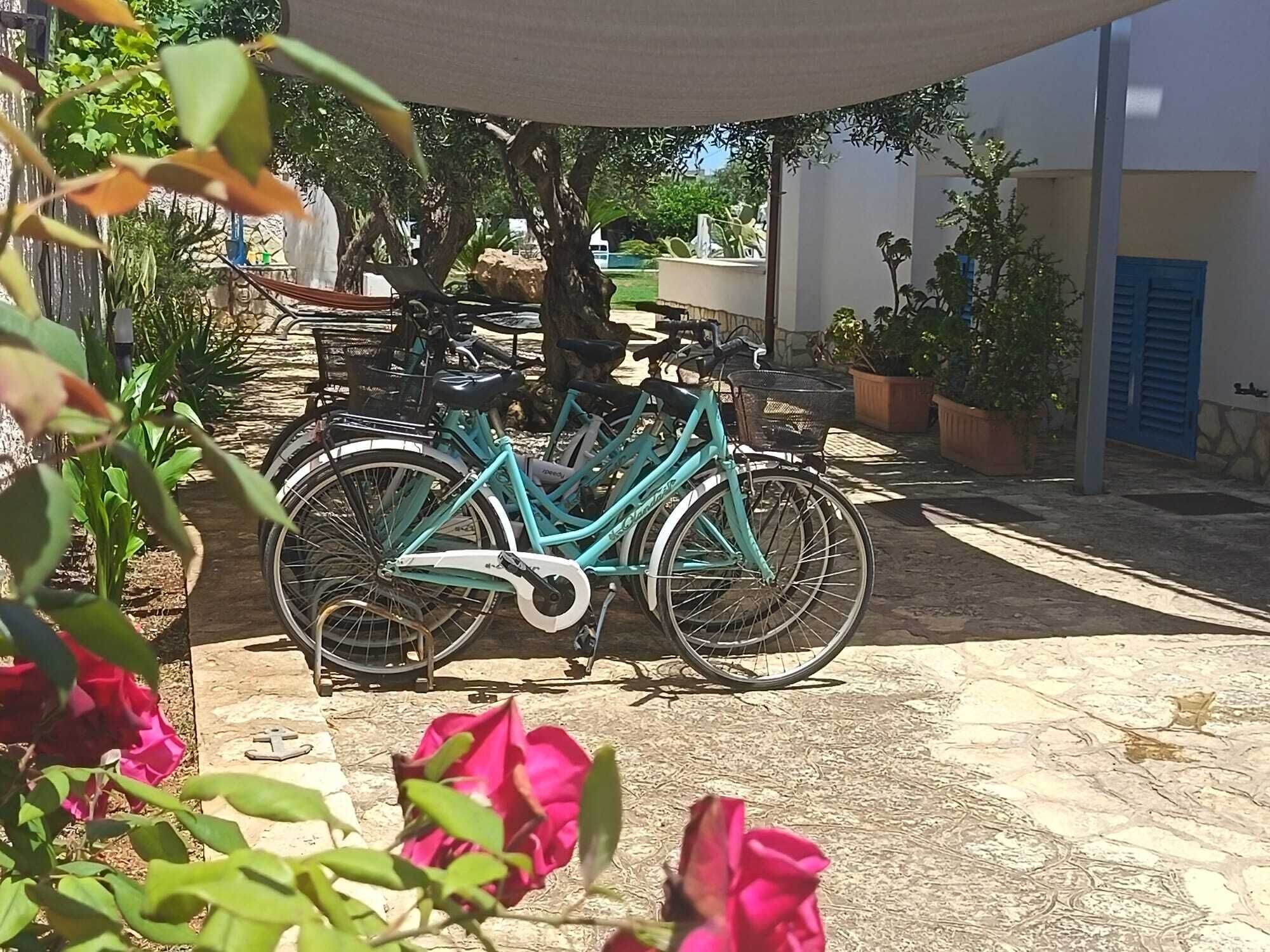 Una bicicleta turquesa aparcada sota un arbre, envoltada per plantes i flors en testos.